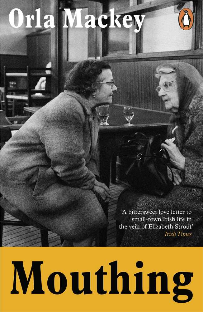 Mouthing book cover