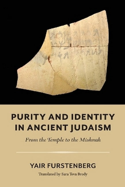 Purity and Identity in Ancient Judaism cover
