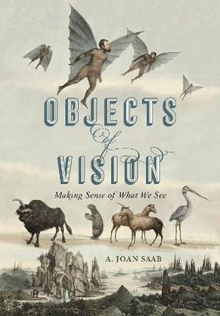Objects of Vision cover