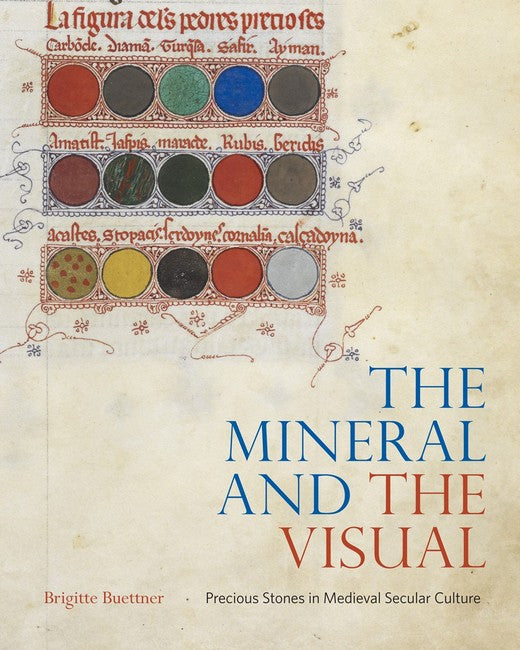 The Mineral and the Visual cover