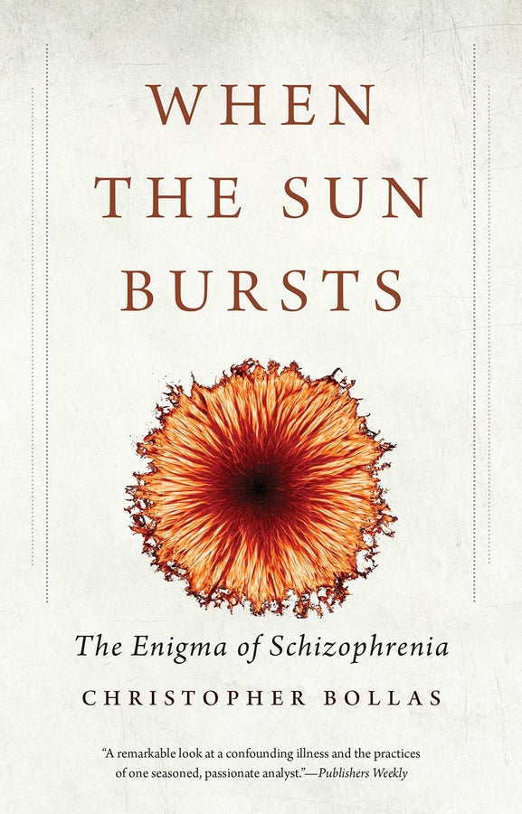 When the Sun Bursts: The Enigma of Schizophrenia cover