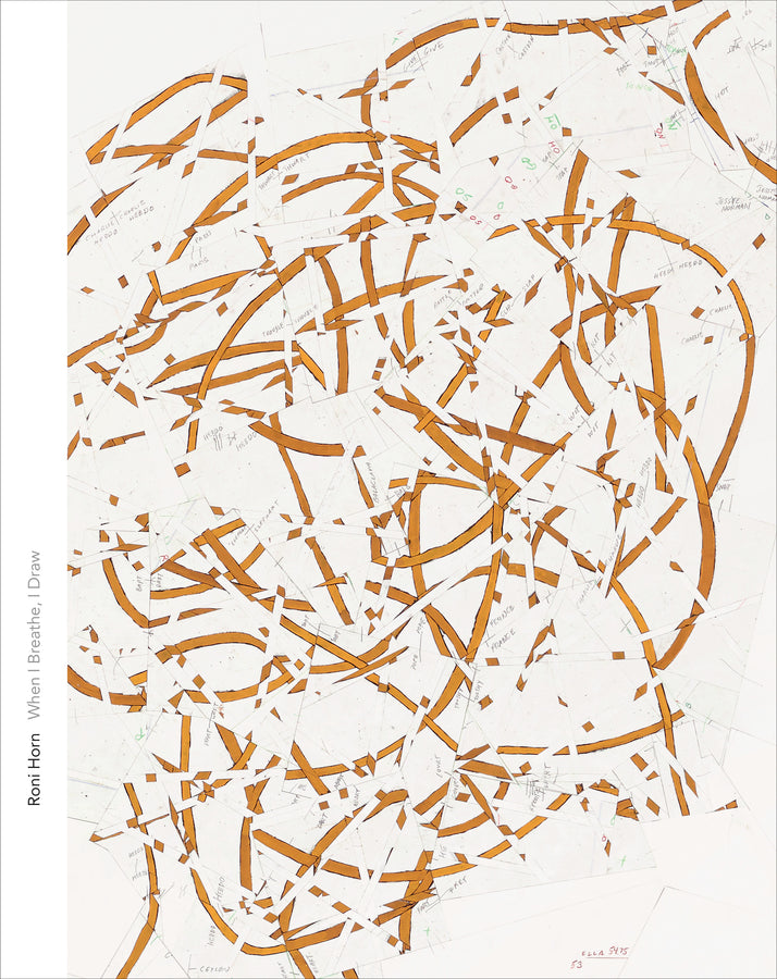 Menil Drawing Institute Series cover