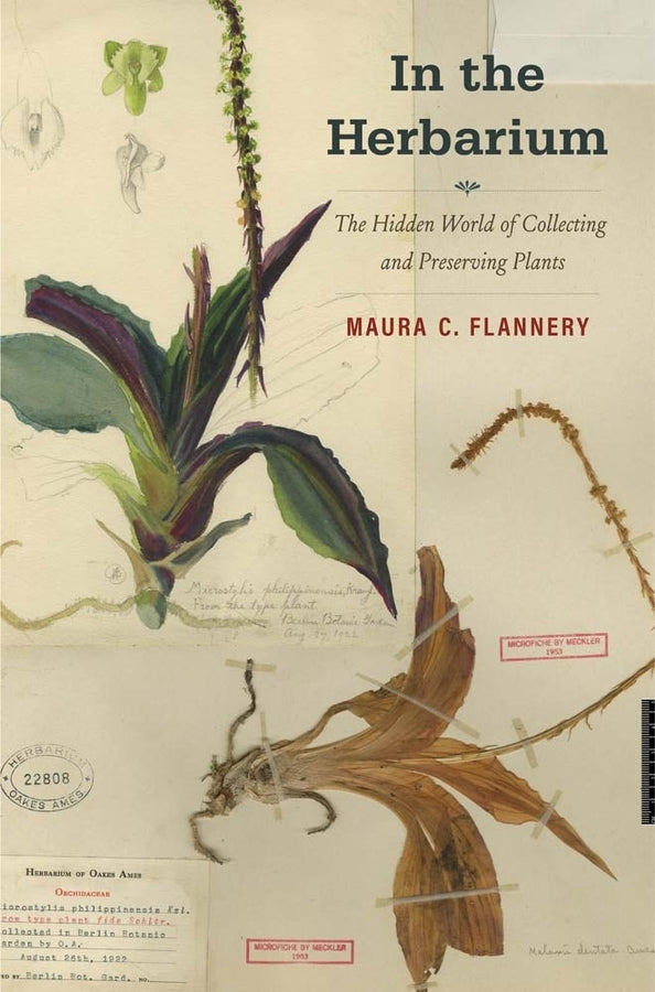 In the Herbarium: The Hidden World of Collecting and Preserving Plants cover