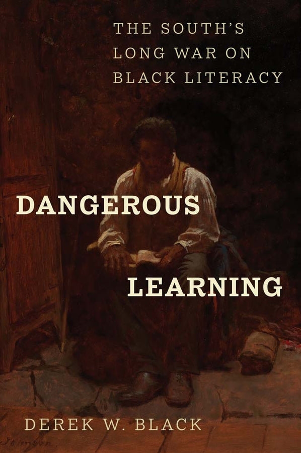 Dangerous Learning: The South's Long War on Black Literacy cover