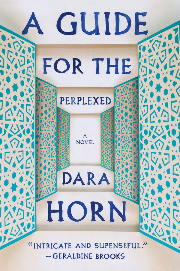 A Guide for the Perplexed: A Novel cover