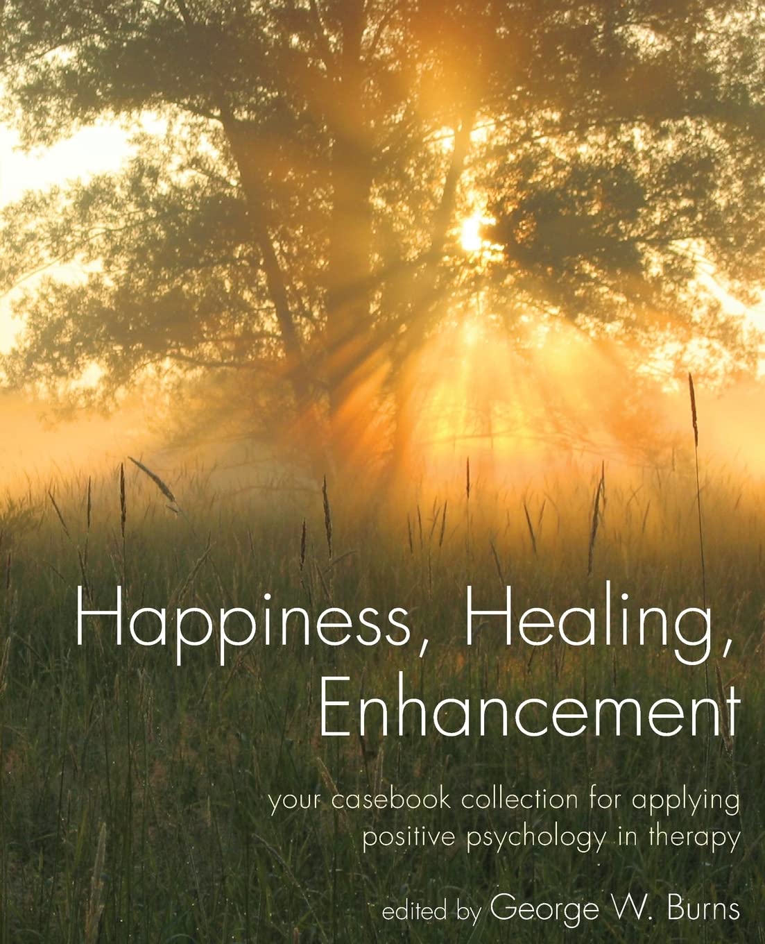Happiness, Healing, Enhancement: Your Casebook Collection For Applying Positive Psychology in Therapy cover