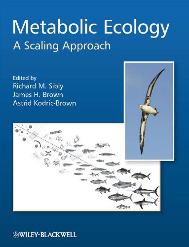 Metabolic Ecology: A Scaling Approach cover