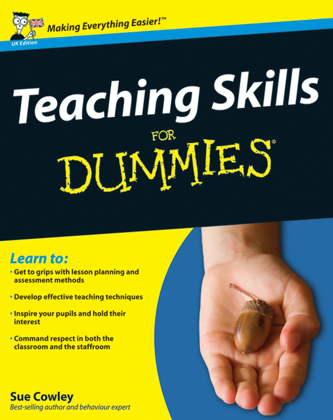 Teaching Skills For Dummies cover