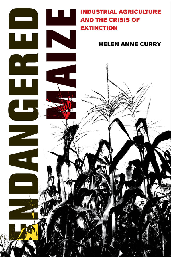 Endangered Maize: Industrial Agriculture and the Crisis of Extinction cover