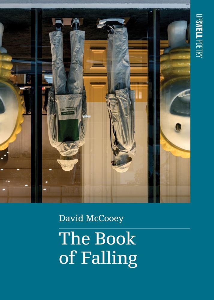 The Book of Falling book cover