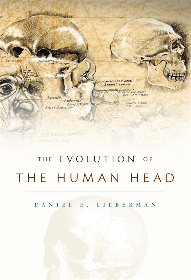 The Evolution of the Human Head cover