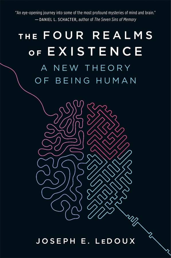 The Four Realms of Existence: A New Theory of Being Human cover