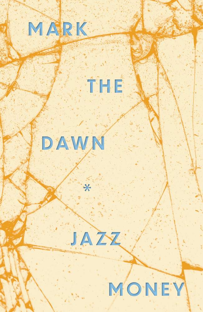 mark the dawn book cover