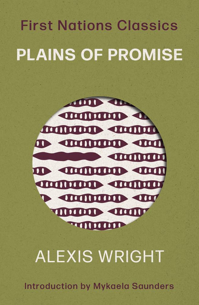 Plains of Promise book cover