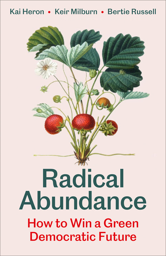 Radical Abundance: How to Win a Green Democratic Future cover
