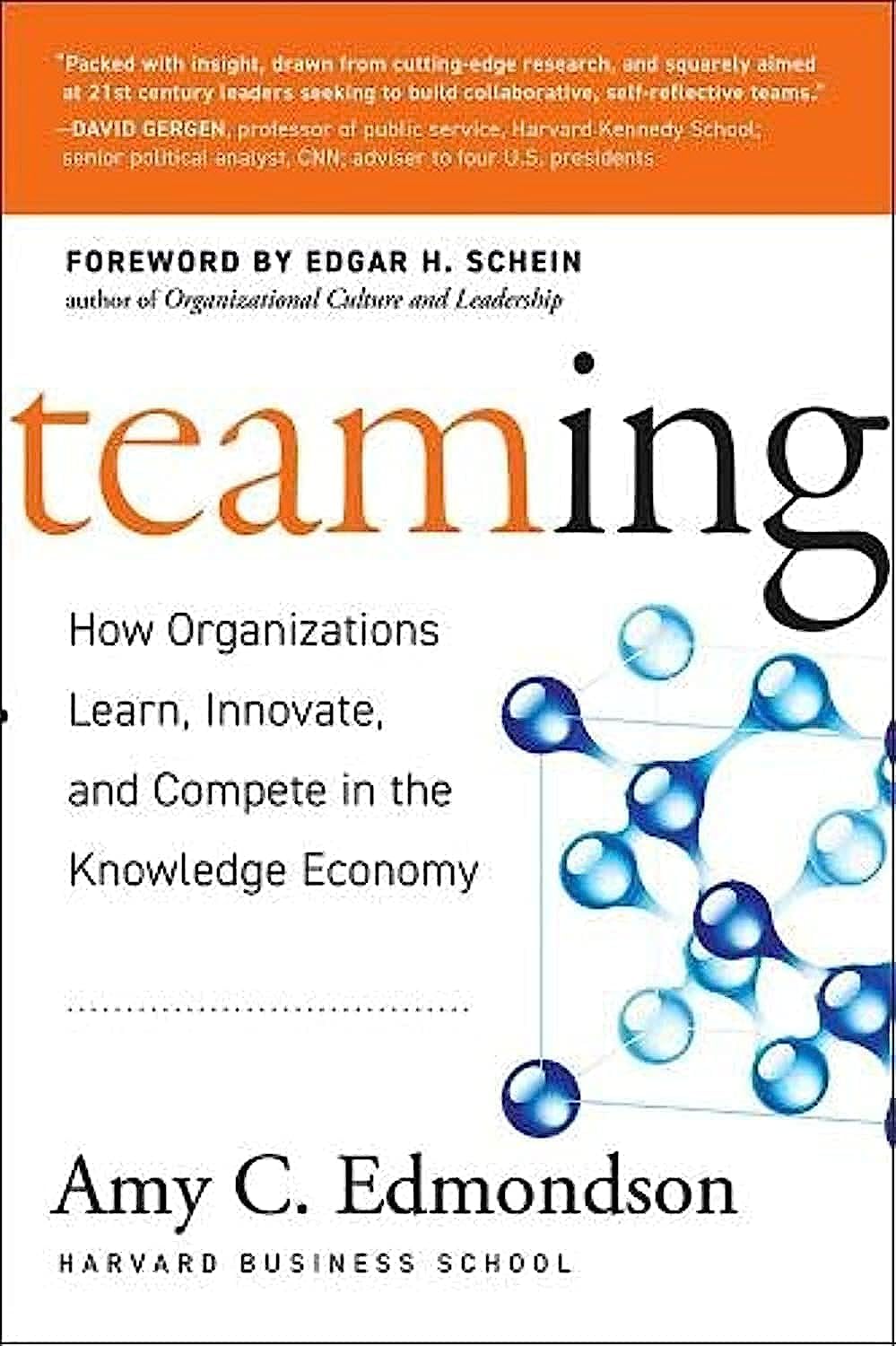 Teaming: How Organizations Learn, Innovate, and Compete in the Knowledge Economy cover