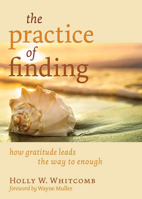 The Practice of Finding cover