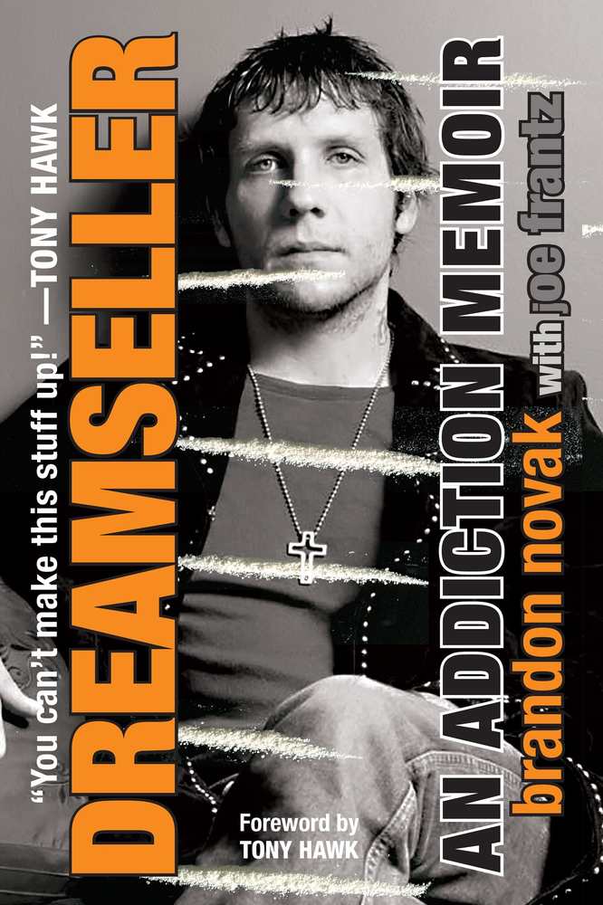Dreamseller book cover