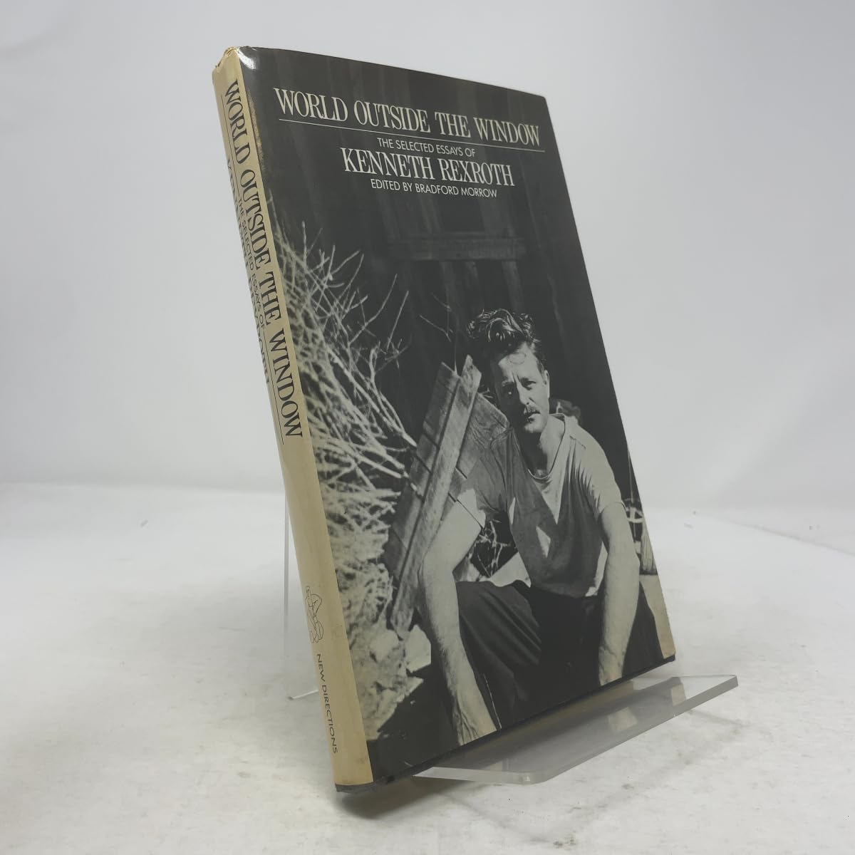 World Outside the Window: Selected Essays