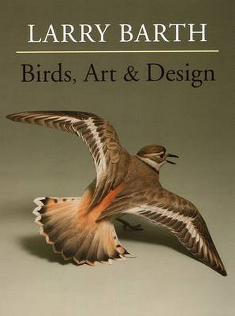 Birds, Art & Design cover