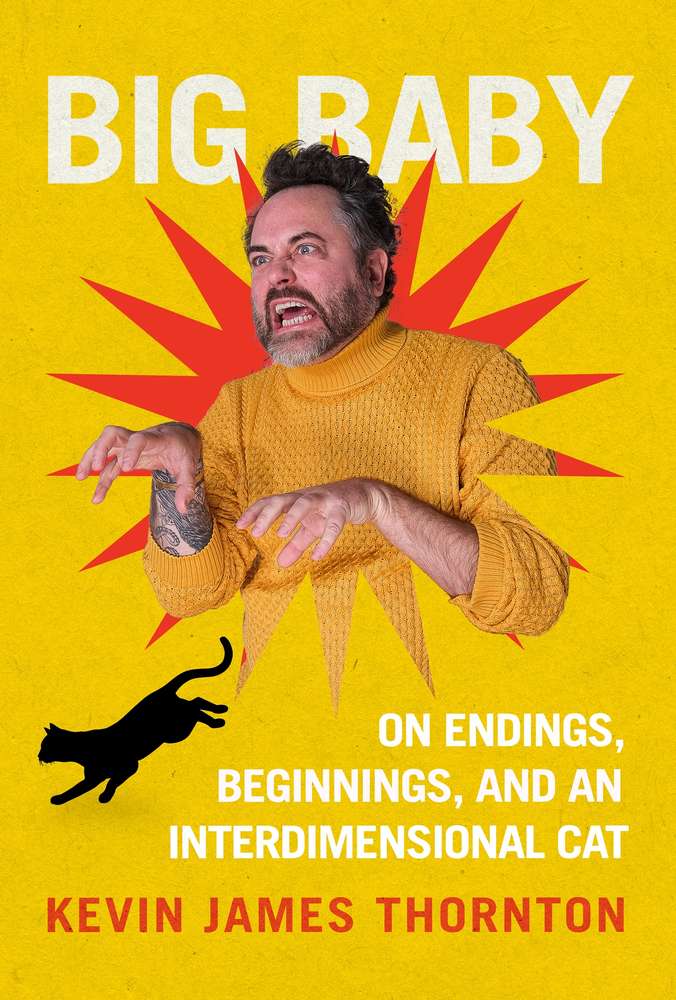 Big Baby book cover