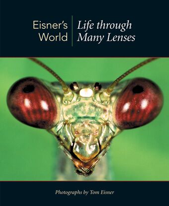 Eisners World book cover