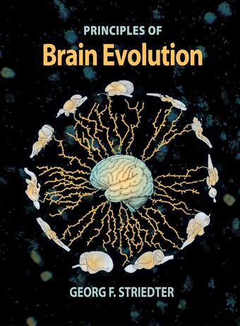Principles Of Brain Evolution book cover