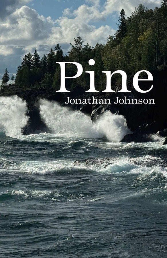 Carnegie Mellon University Press Poetry Series cover