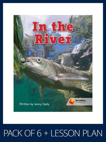 WorldWise Guided Reading Pack Level 3, Pack 2 book cover