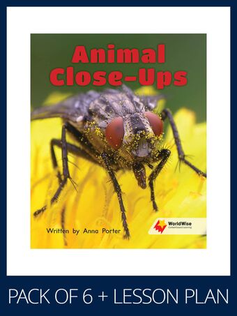 WorldWise Guided Reading Pack Level 11-12, Pack 1 book cover