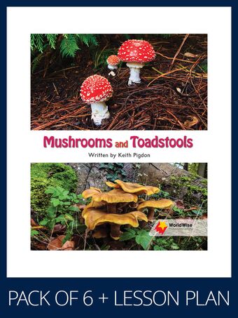 WorldWise Guided Reading Pack Level 15-16, Pack 2 book cover