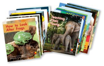 Flying Start to Literacy Phonics Module 3 Student Book Singles Pack book cover