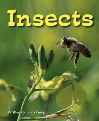 BLL C1 Insects book cover