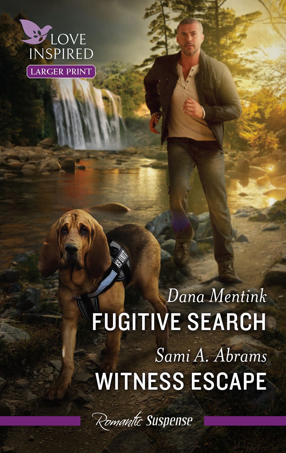 Fugitive Search/Witness Escape
