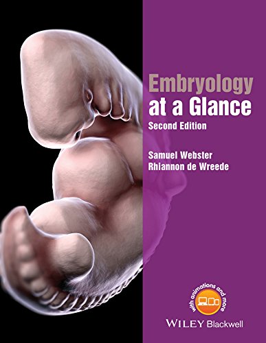 At a Glance cover