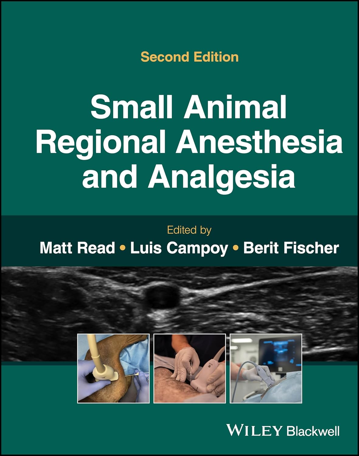 Small Animal Regional Anesthesia and Analgesia cover