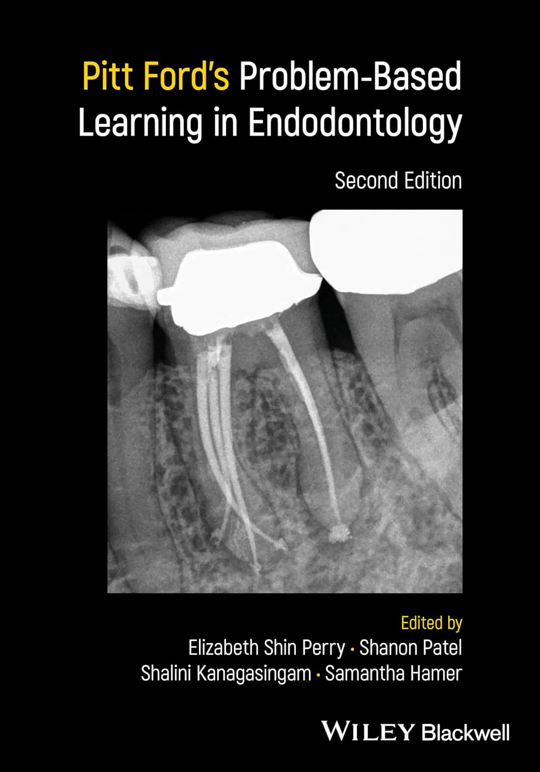 Pitt Ford's Problem-Based Learning in Endodontology cover