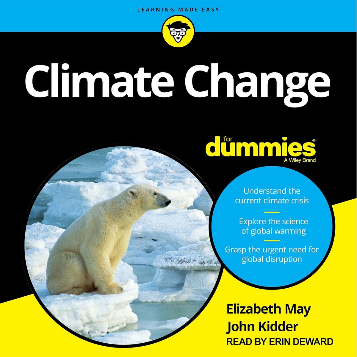 Climate Change For Dummies cover