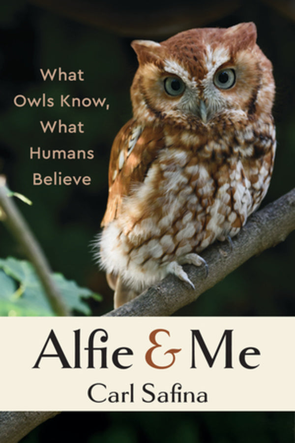 Alfie and Me: What Owls Know, What Humans Believe cover