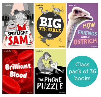 Readerful Rise: Oxford Reading Level 7 Class Pack book cover