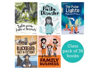 Readerful Rise: Oxford Reading Level 10 Class Pack book cover