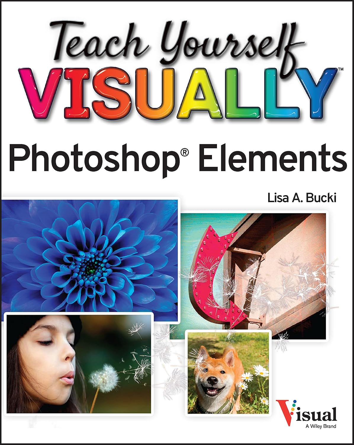 Teach Yourself VISUALLY (Tech) cover