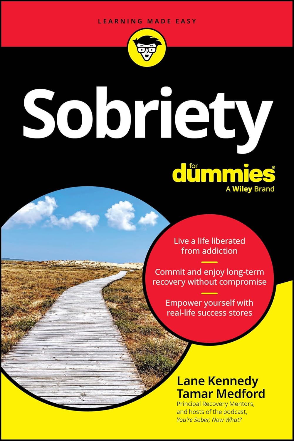 Sobriety For Dummies cover
