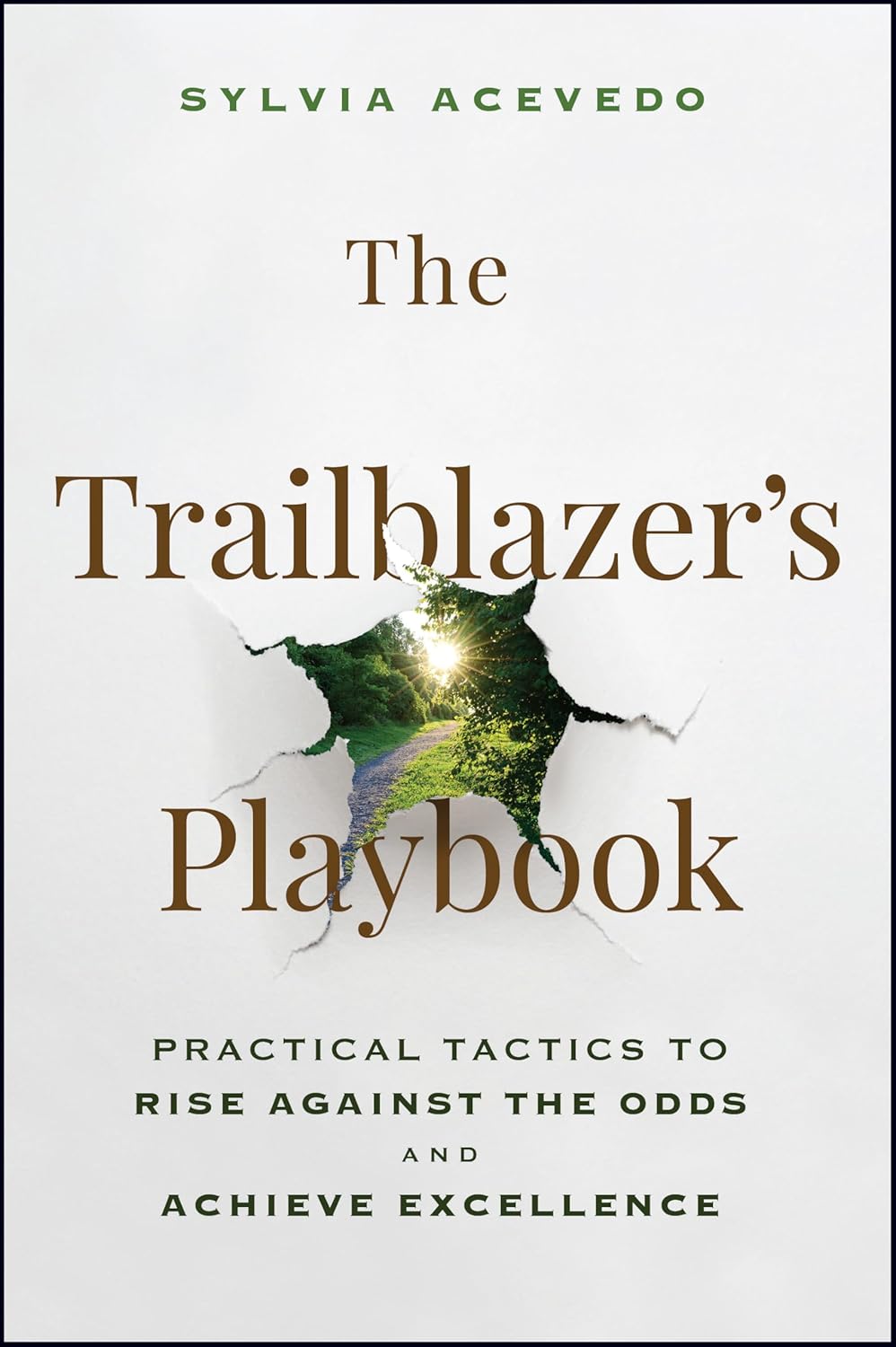 The Trailblazer's Playbook: Practical Tactics to Rise Against the Odds and Achieve Excellence cover