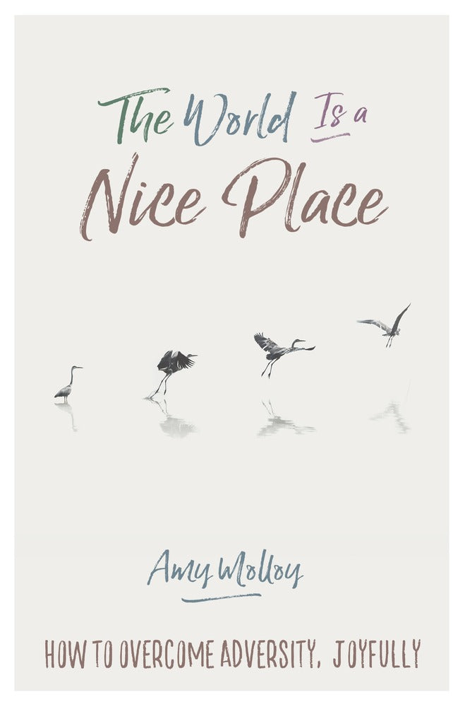 The World Is A Nice Place book cover