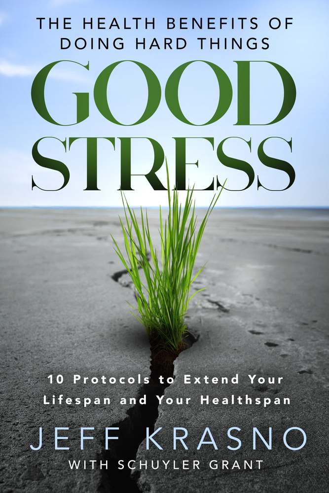 Good Stress book cover
