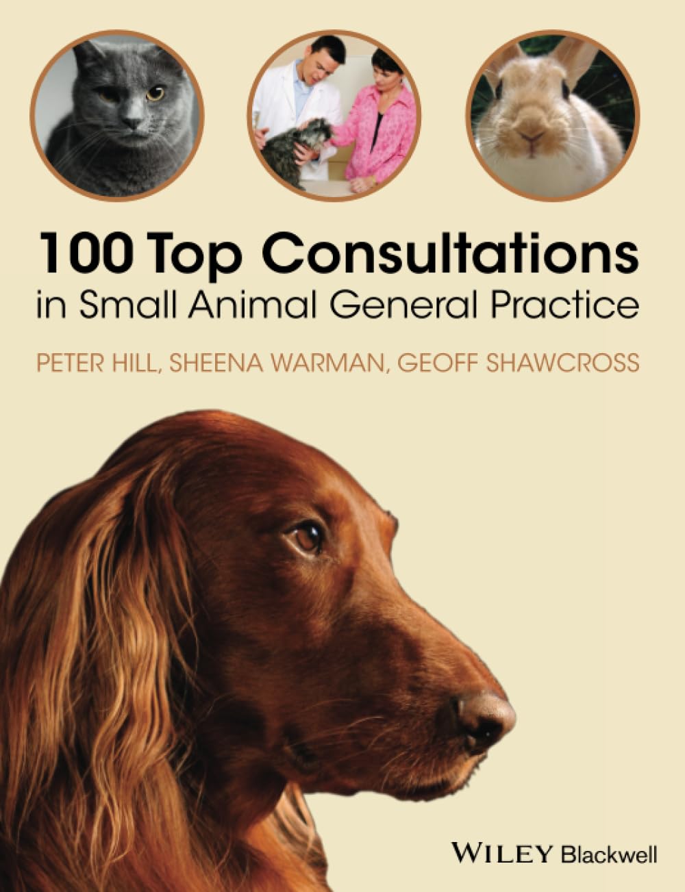 100 Top Consultations in Small Animal General Practice