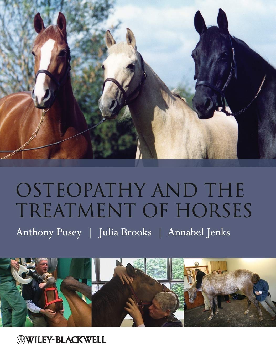 Osteopathy and the Treatment of Horses cover