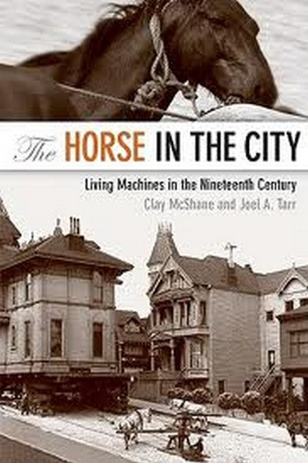 The Horse in the City cover