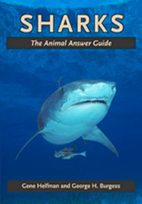 Sharks cover
